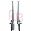 Picture for category 2.4 GHz Omni Antennas Horizontal/Vertical