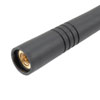 Picture of 2.4 GHz to 2.5 GHz Concave Shaped Antenna, Dipole, SMA Male Connector, 2 dBi Gain